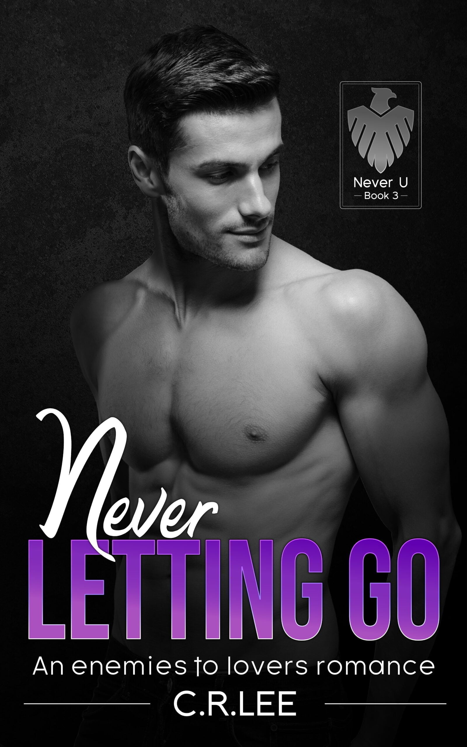 Book Cover Never Letting Go by C. . Lee