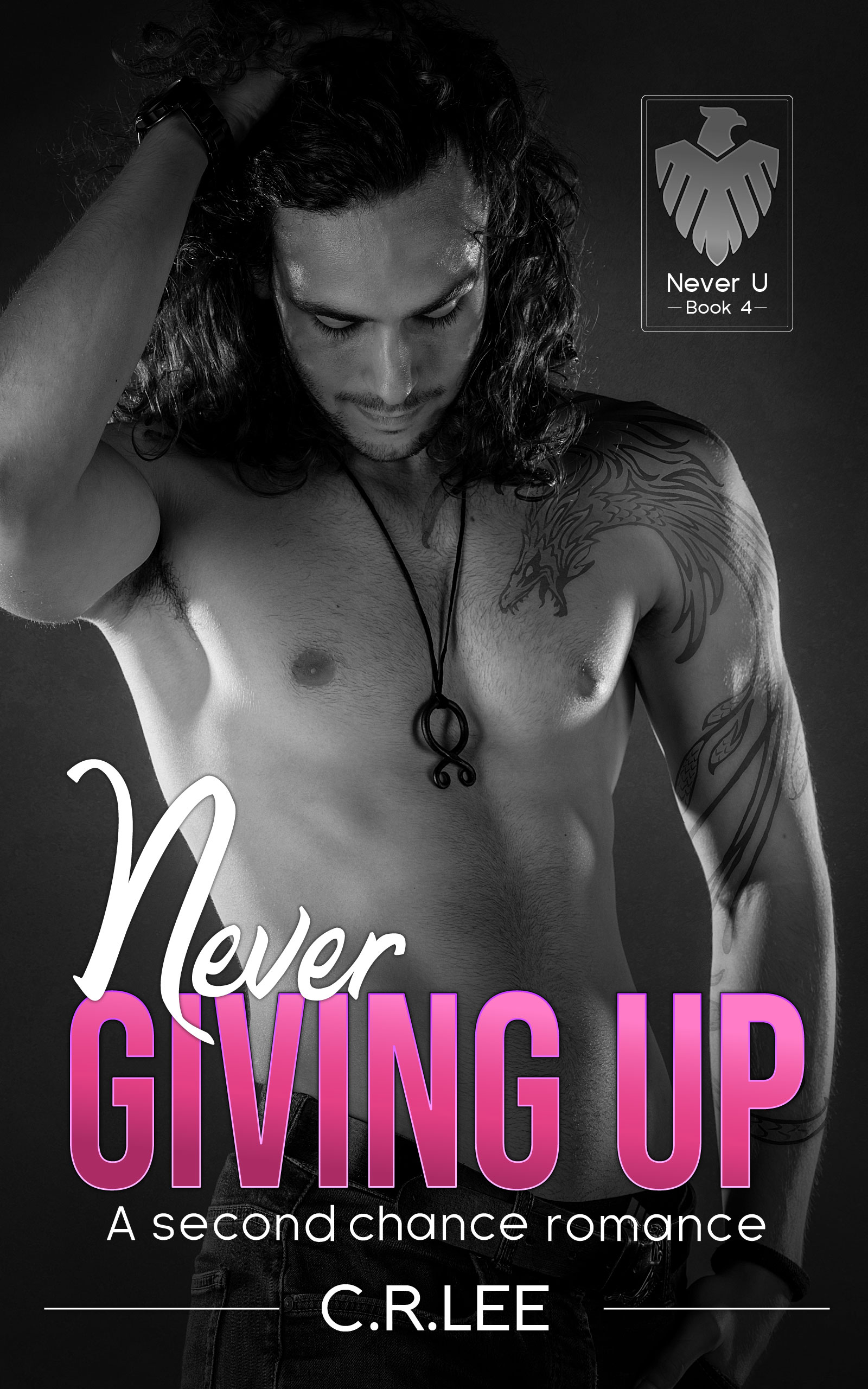 Never Giving Up Book Cover